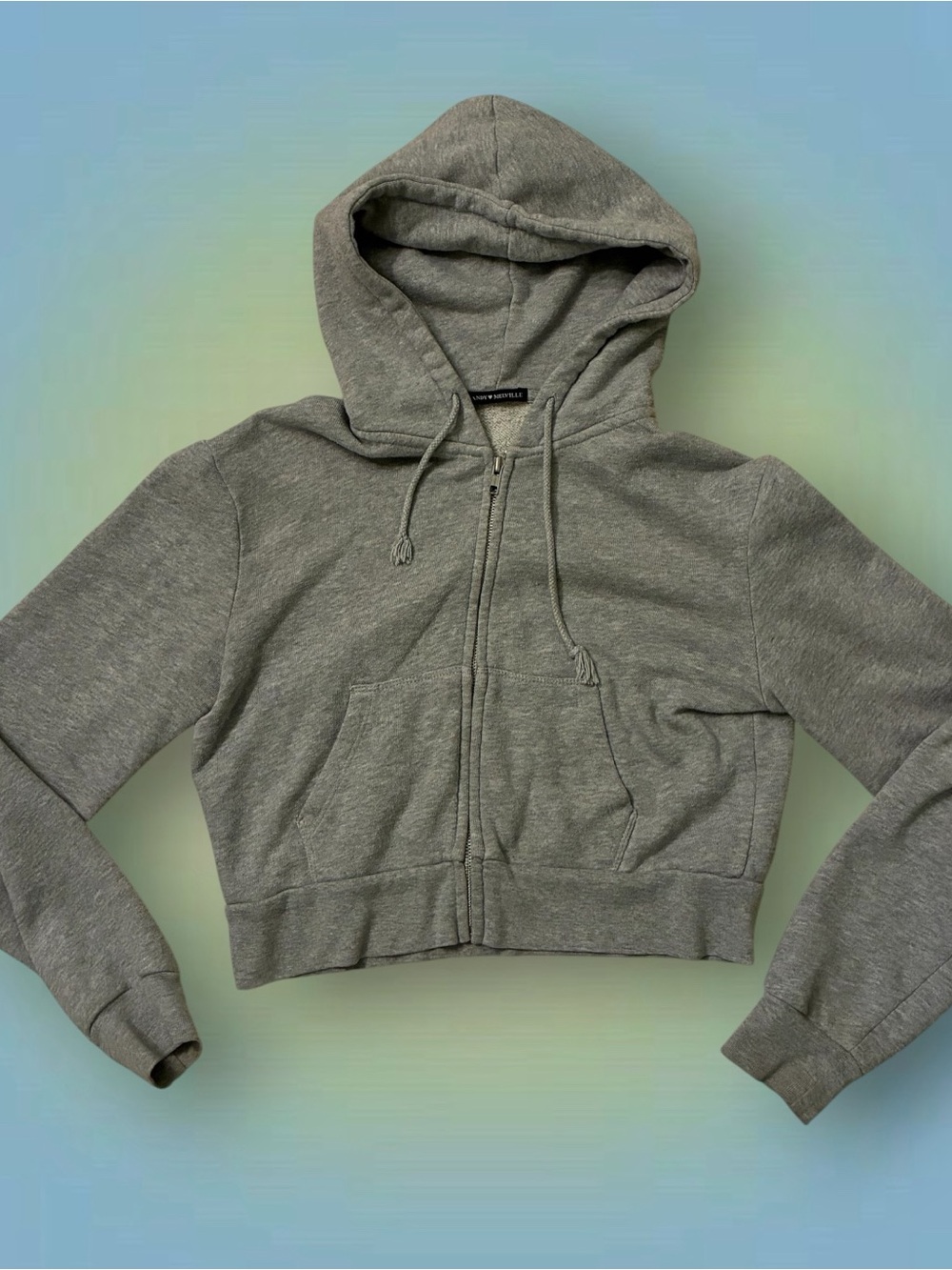 Brandy Melville Gray Cropped Zip-Up Hoodie